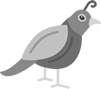Quail 2.1 documentation - Home