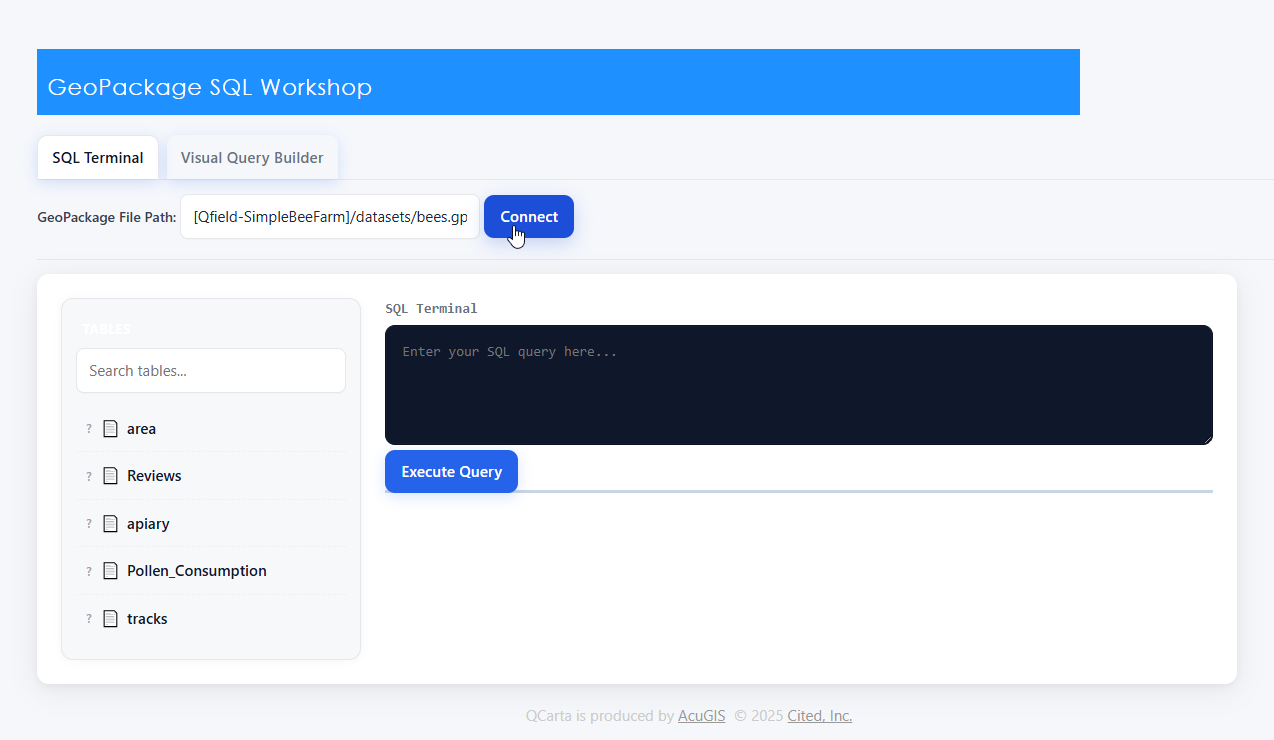 ../../_images/qcarta-sql-2.png